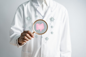 Doctor in a white coat hands holding magnifier focus stomach with intestine virtual icon,...