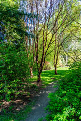 College Garden Landscape 3