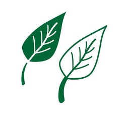 green leaf illustration