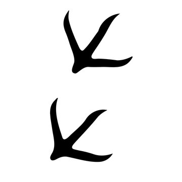 Chicken or bird footprints / tracks flat vector icon