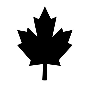 Canada maple leaf icon