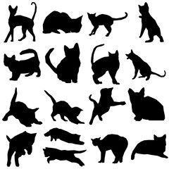 cat icon transparent png