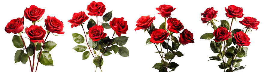 Bunch of red roses flowers on transparent background, Generative AI Technology  - obrazy, fototapety, plakaty