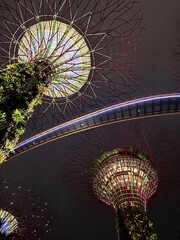 싱가포르의 야간 조명과 어우러지는 나무 건축 조형물 