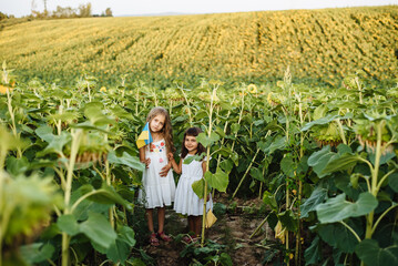 Children pose with the Ukrainian yellow-blue flag in a blooming sunflower field. Little partisans. The child is our future. Independence Day. Stop the war.