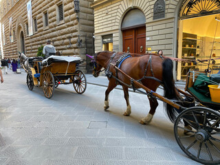 Take  a leisurely carrige tour of the city