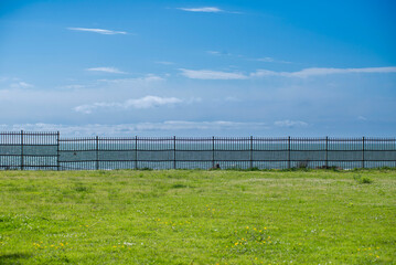 blue sky and a fence in the background