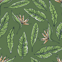 Plant summer exotic tropical hawaii pattern. Tropic surfing palm for seamless design
