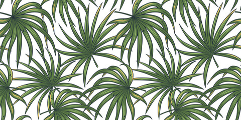 Tropical exotic green plants and leaves wallpaper. Seamless pattern with summer tropical palm foliage