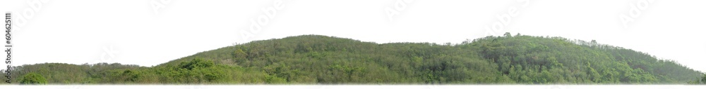 Poster rocky mountain hill with green forest isolated on transparent background with clipping path and alpha channel..