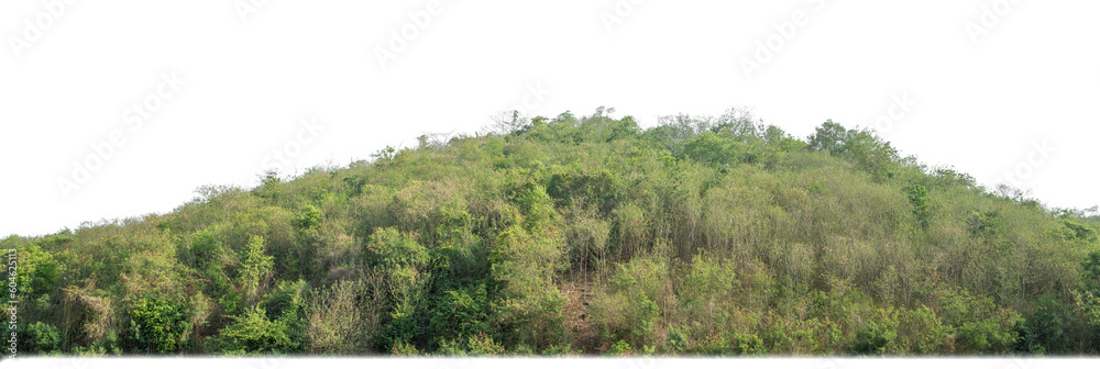 Fototapete rocky mountain hill with green forest isolated on transparent background with clipping path and alph