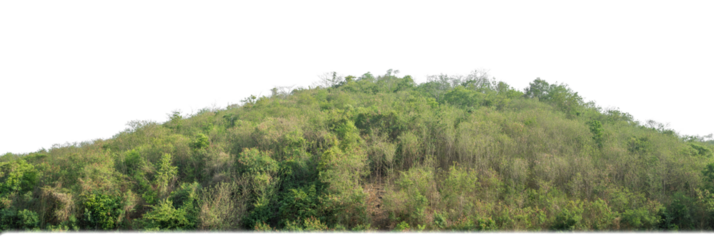 rocky mountain hill with green forest isolated on transparent background with clipping path and alpha channel..