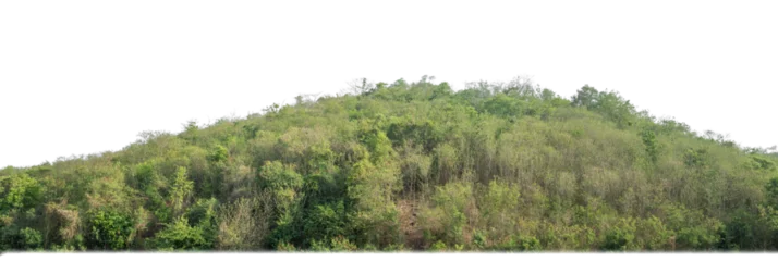 Deurstickers rocky mountain hill with green forest isolated on transparent background with clipping path and alpha channel.. © Sarawut