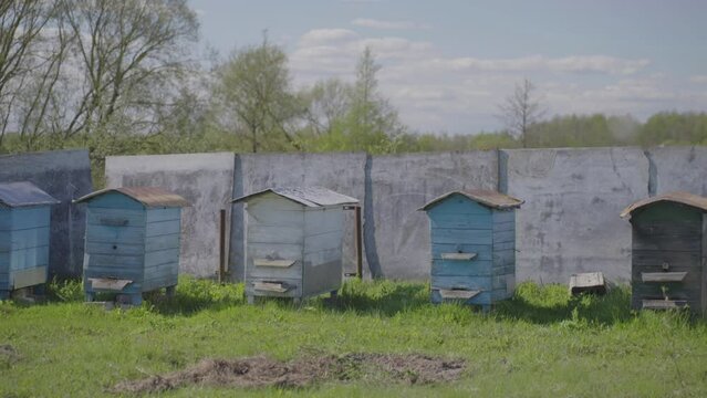 Old hives located on green grass in beekeeper yard. Apiary and housing for flying insects. Hobby of cottage house owner and collecting honey concept