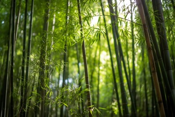 Fototapeta premium AI Generative. Natural Air Filtration by a Grove of Bamboo Trees 