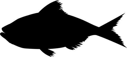 fish silhouette