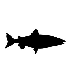 fish silhouette