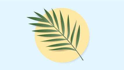 Tropical leaves.  plant leaf and green tropical palm leaves. Jungle palms forest flora nature, Flat Modern design ,isolated on white background  illustration Vector EPS 10