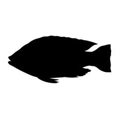 fish silhouette
