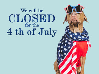 Signboard with the inscription We will be closed for the 4th of July. Cute brown puppy. Closeup,...