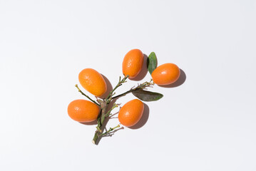 Kumquats naranjas chinas pequeñas sobre fondo blanco. Vista superior