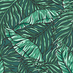 Naklejka na ściany i meble Tropical exotic green leaves or plant seamless pattern for summer background and beach wallpaper.