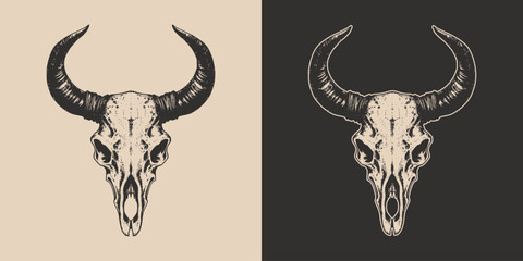 Set of vintage retro scary spooky cow bull skull head skeleton. Cowboy Native American. Can be used like emblem, logo, badge. Monochrome Graphic Art. Vector. Hand drawn element in engraving