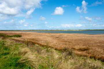 Parc national, Mer des Wadden, &icirc;le de la Frise, Ile Texel, Pays Bas
