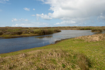 Fototapeta na wymiar Parc national, Mer des Wadden, île de la Frise, Ile Texel, Pays Bas