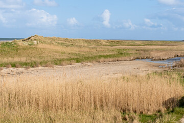 Réserve naturelle, Polder, Mer des Wadden, île de la Frise, Ile Texel, Pays Bas