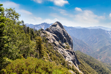 Sequoia National Park in California