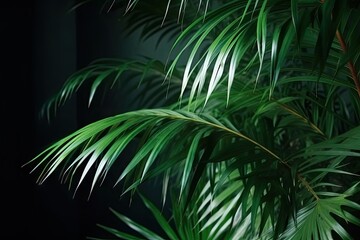 Naklejka na ściany i meble Lush Green Palm Leaves with Copy Space Inside for Tropical Invitations. Generative AI