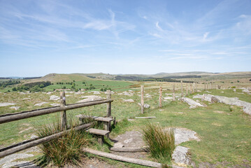 Landscape of Dartmoor National Park in Devon, UK. 