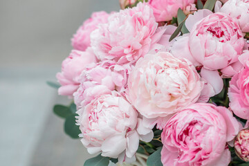 Beautiful bouquet of pink peonies flowers in vase on grey background © Galina