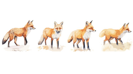 Set, Watercolor, Fox faces, Illustration, High detail, Sharp edges, Sharp lines, Artistic, Wildlife, Animal, Nature, Red fox, Colorful, Vibrant, Detailed, Hand-painted, Fine art, Portraits, Expressive