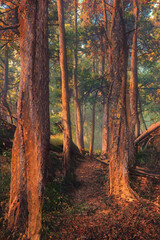 Spring Forest National Park Hike