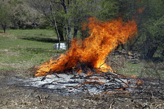 fogata controlada en el monte para limpiar y prevenir incendios