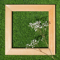 gypsophila flower in frame on grass background