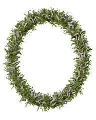 Snowmound Spirea Ellipse shape frame on a transparent background