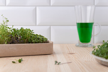 The concept of a healthy lifestyle and diet, eco-product. Preparation of a drink with sprouts, vegetable fresh microgreens Raw sprouts for vitgrass.