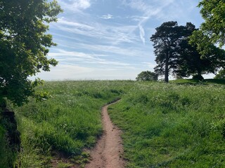 A dusty path winds gently up a grassy hill forwards some trees.