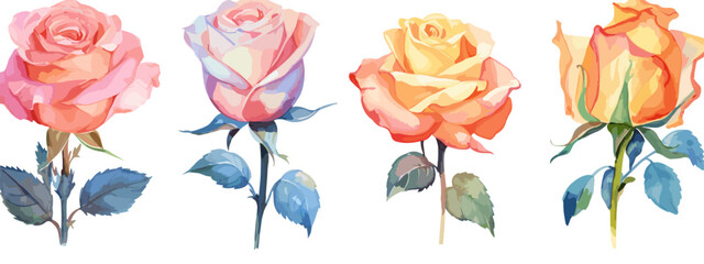 Fototapeta na wymiar Set of 6 High Detail Watercolor Rose Illustrations (Vector ESP)
