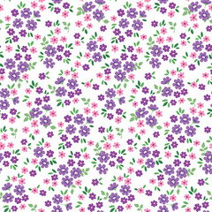 Fototapeta na wymiar Seamless floral pattern, liberty ditsy print with tiny cute flora. Pretty botanical design with a rustic motif: hand drawn meadow, small flowers, leaves on a white background. Vector illustration.