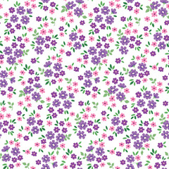 Seamless floral pattern, liberty ditsy print with tiny cute flora. Pretty botanical design with a rustic motif: hand drawn meadow, small flowers, leaves on a white background. Vector illustration.