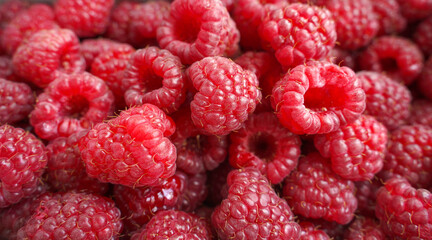 close up of raspberry. background of ripe red raspberries.