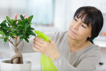 Obraz premium adult female watering domestic plant leaves indoor