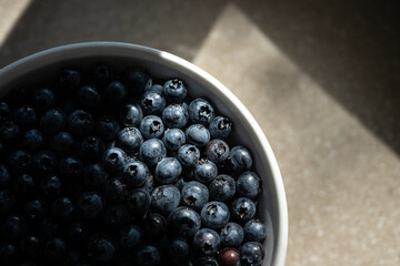 Close Up View of Blueberries in a Bowl by a Window