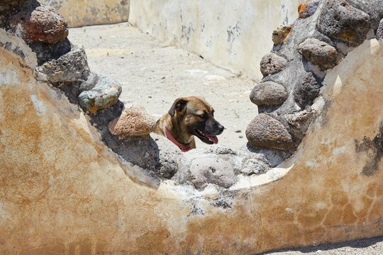 The Ancient Zapotec Ruins of Yagul, Oaxaca, home to well-preserved ruins and stunning views