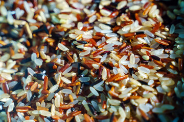 Texture mixture of four types of rice white, brown, red and black