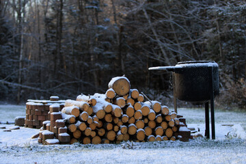 firewood in the snow beside grill